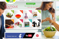 Website Bonduelle salade